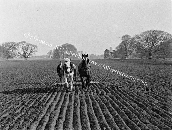 ON THE FARM EMO COURT HARROWING WITH HORSES